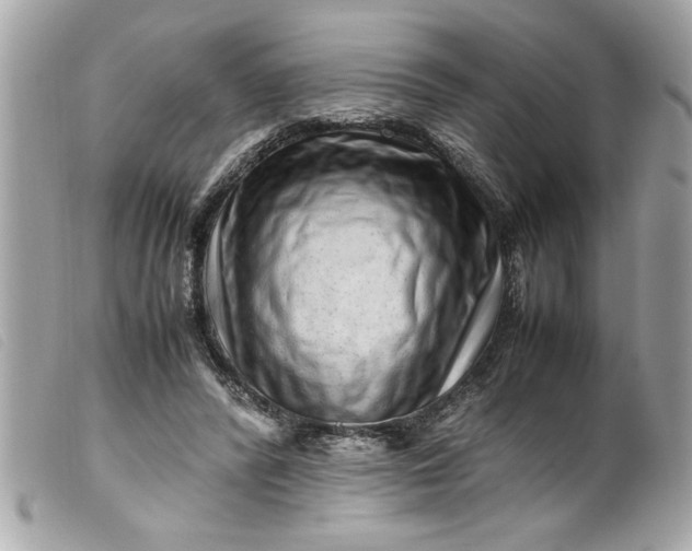 X0000099530400200805301444