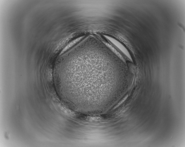 X0000099530401200805301444