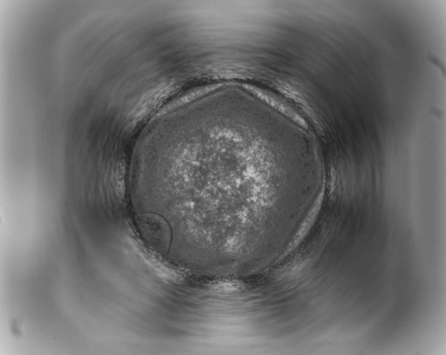 X0000099530402200805301444