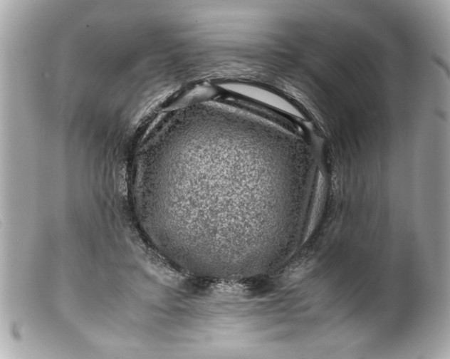 X0000099530403200805301444