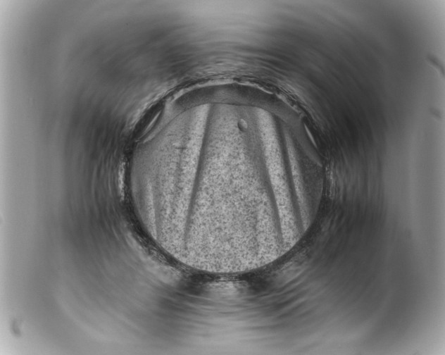 X0000099530404200805301444