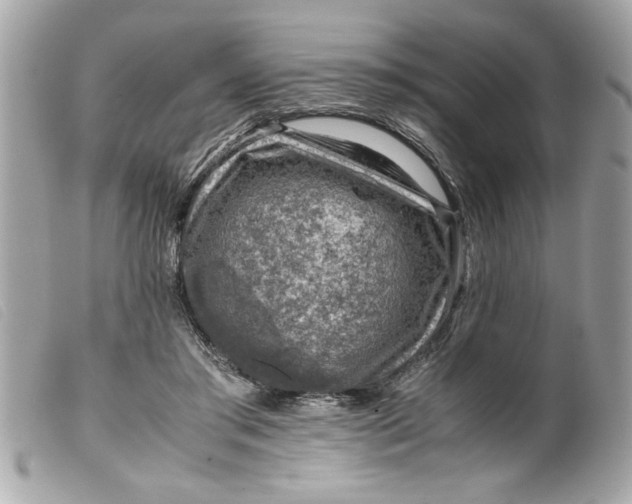 X0000099530405200805301444