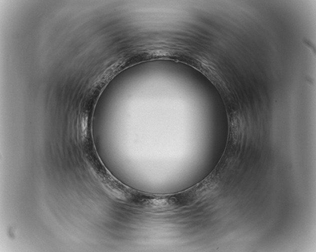 X0000099530406200805301444