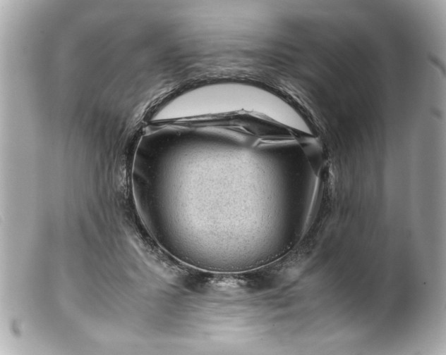 X0000099530407200805301444