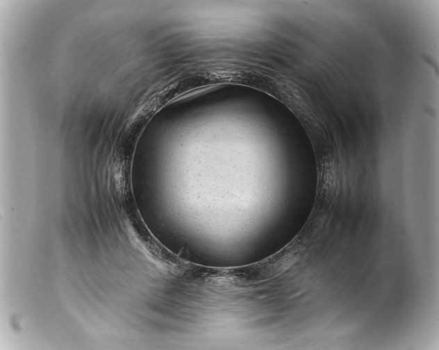 X0000099530408200805301444