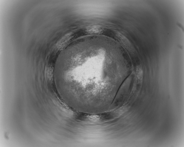 X0000099530409200805301444