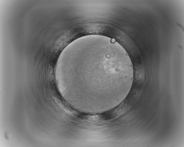 X0000099530411200805301444