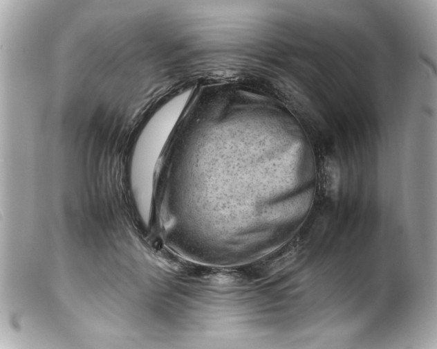 X0000099530412200805301444