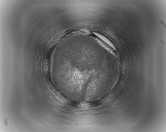 X0000099530413200805301444