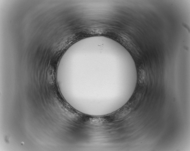 X0000099530414200805301444