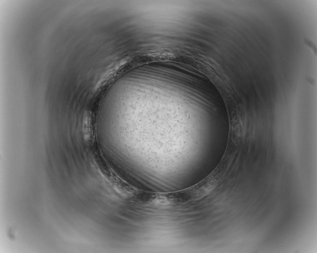 X0000099530416200805301444