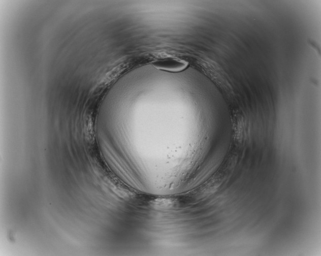 X0000099530418200805301444