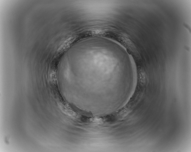 X0000099530419200805301444