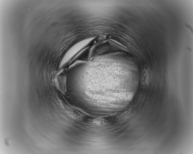 X0000099530420200805301444