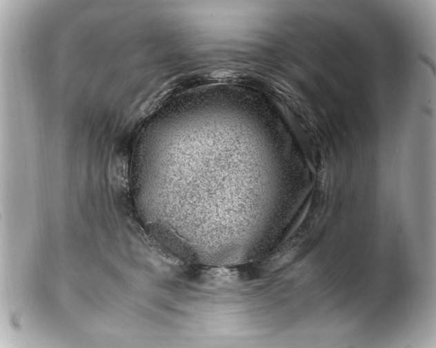 X0000099530421200805301444