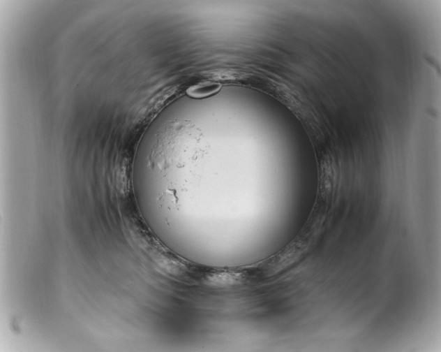 X0000099530422200805301444