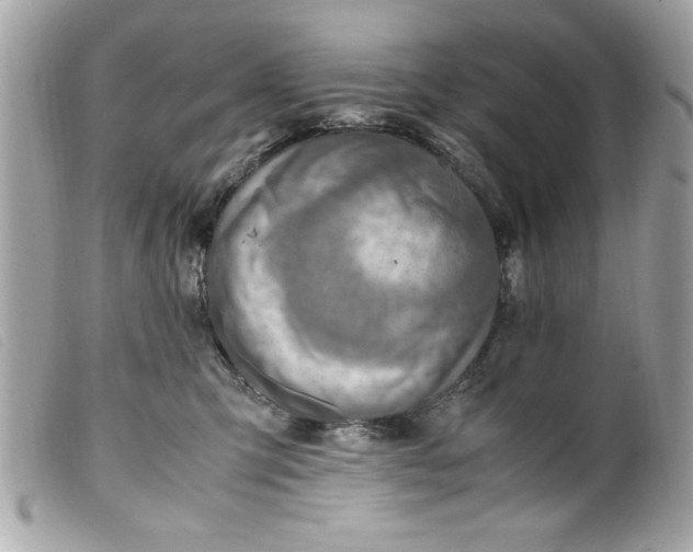 X0000099530423200805301444