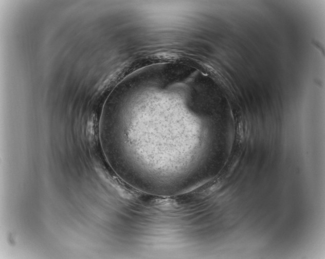 X0000099530424200805301444