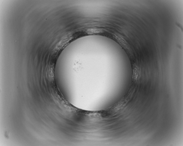 X0000099530426200805301444