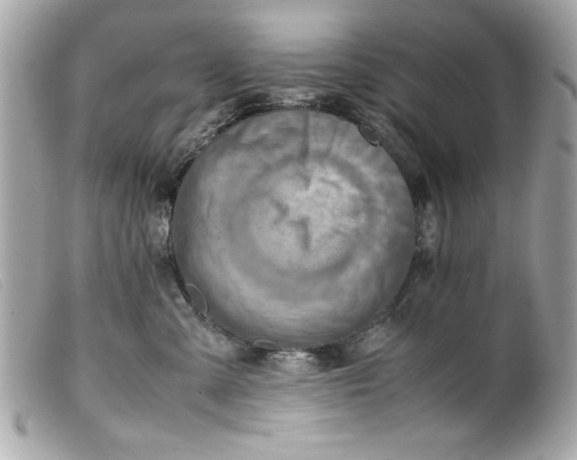 X0000099530427200805301444