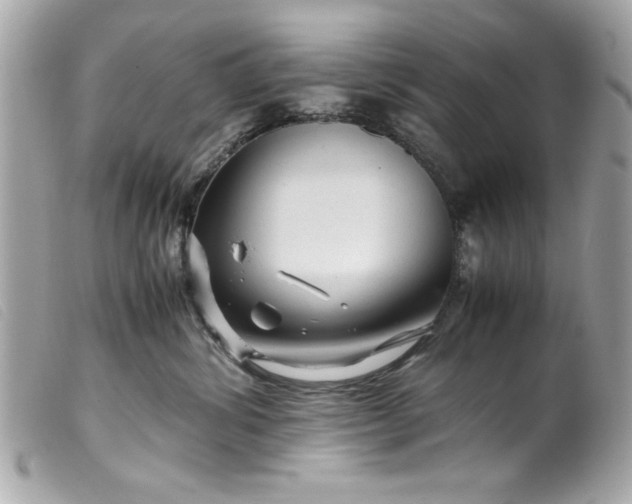 X0000099530428200805301444