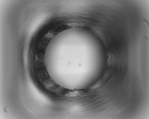 X0000099530430200805301444