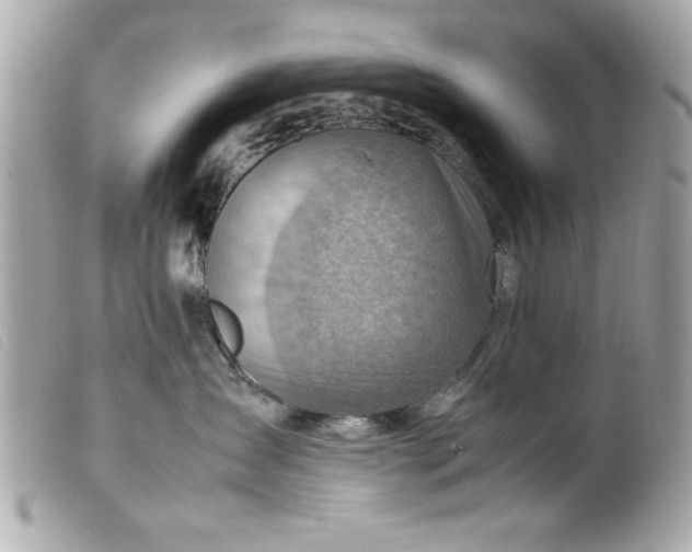 X0000099530431200805301444