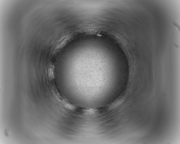 X0000099530432200805301444