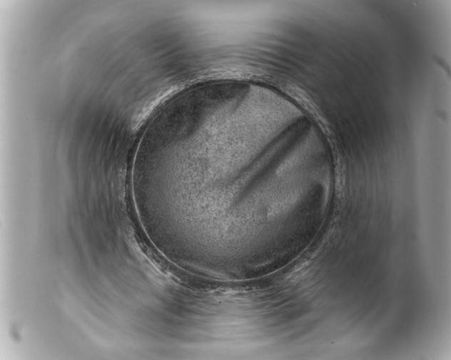 X0000099530434200805301443