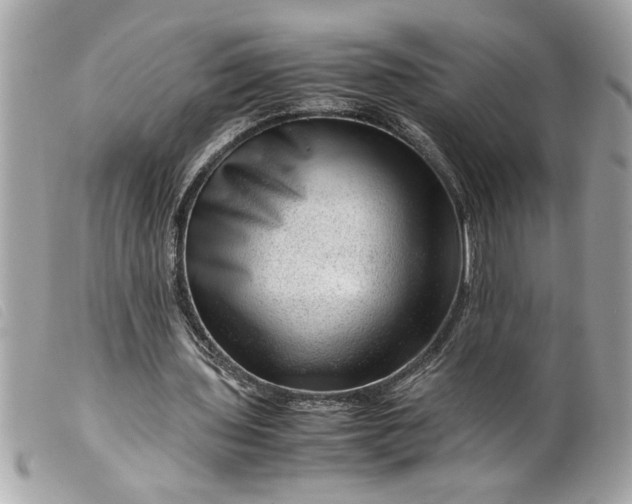 X0000099530435200805301443