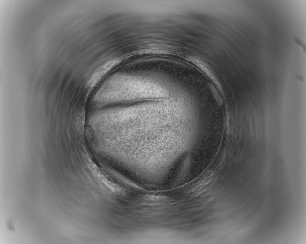 X0000099530437200805301443