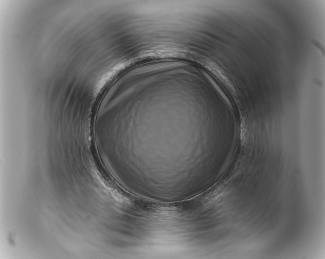 X0000099530438200805301443