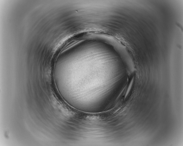 X0000099530440200805301443