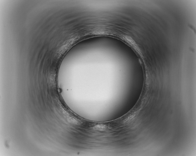 X0000099530441200805301443