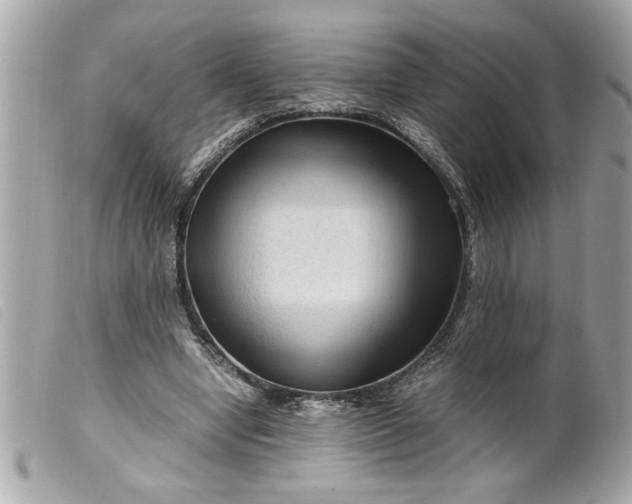 X0000099530442200805301443