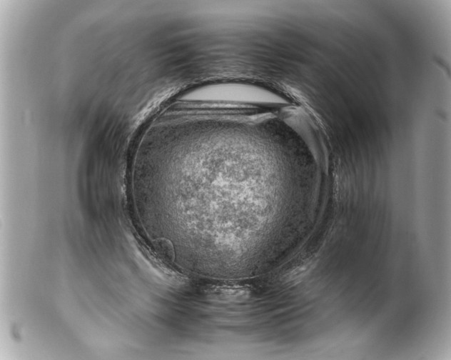 X0000099530443200805301443