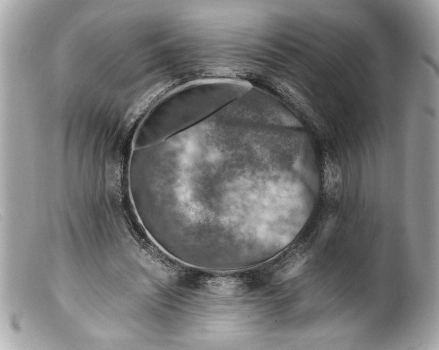 X0000099530444200805301443