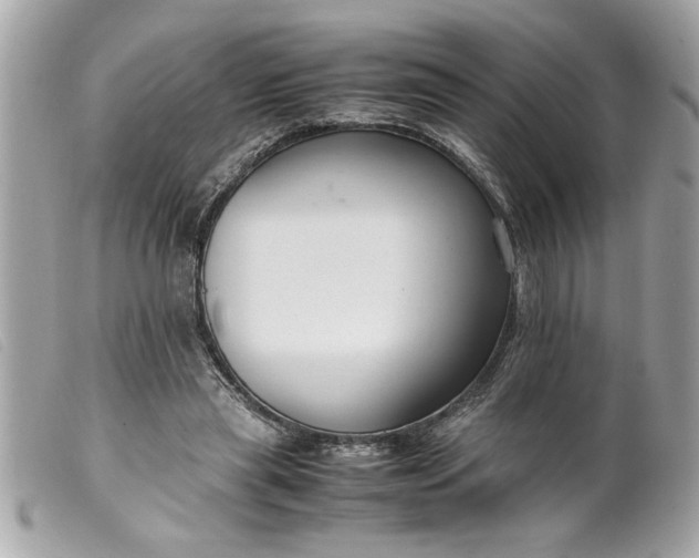 X0000099530445200805301443