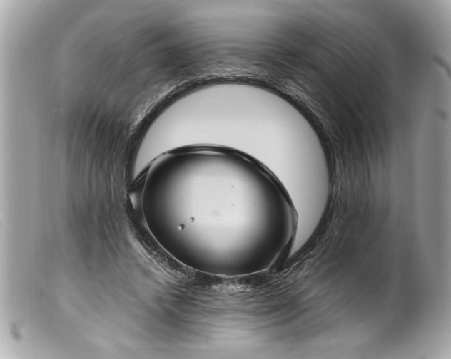 X0000099530448200805301443