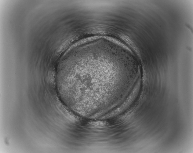 X0000099530449200805301443