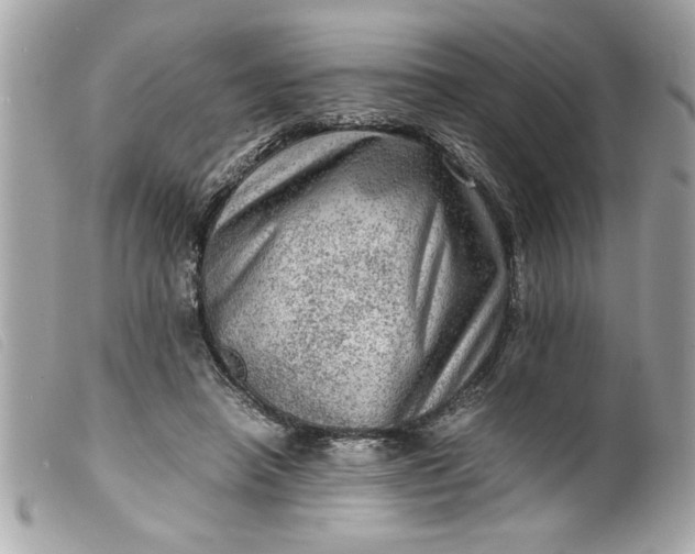 X0000099530450200805301443