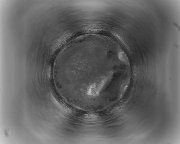 X0000099530451200805301443