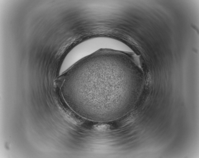 X0000099530452200805301443