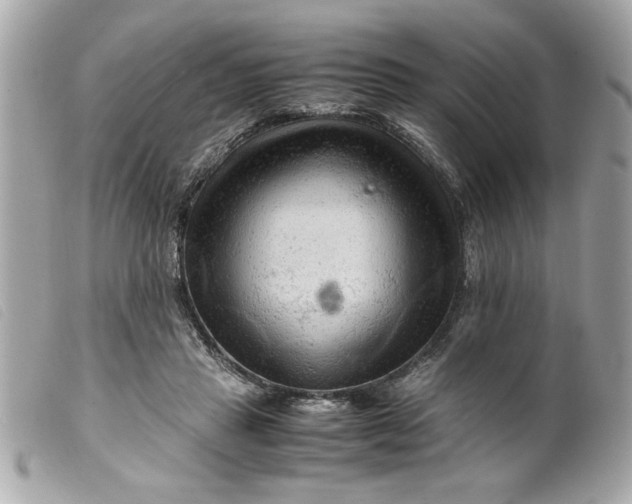 X0000099530453200805301443