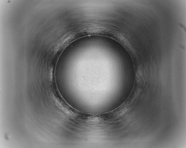 X0000099530454200805301443