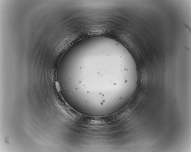 X0000099530455200805301443