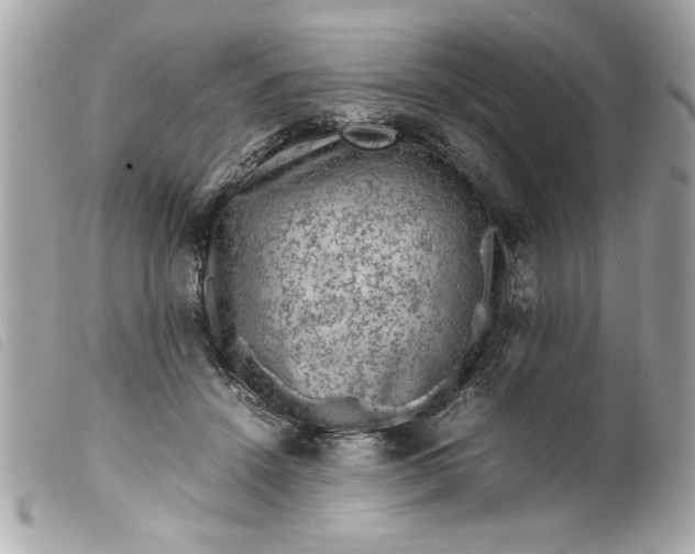 X0000099530456200805301443