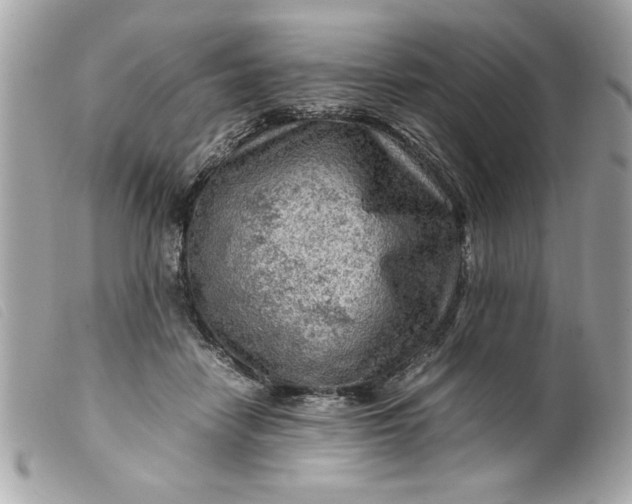 X0000099530458200805301443