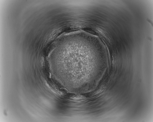 X0000099530459200805301443