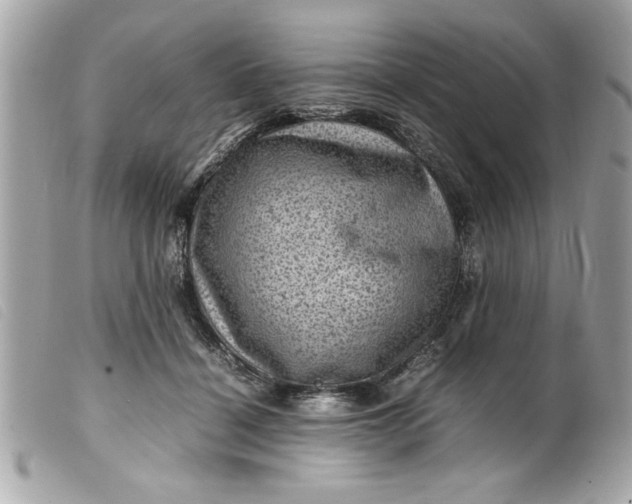 X0000099530460200805301443